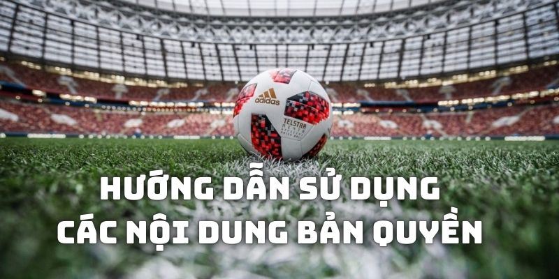 Hướng dẫn sử dụng thông tin bản quyền RakhoiTV