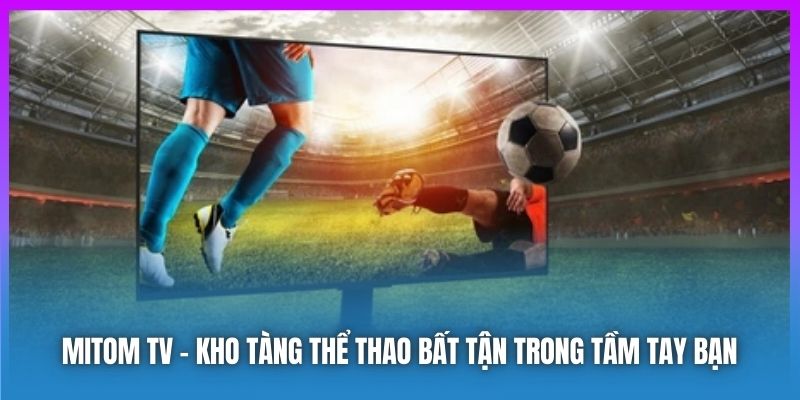 yếu tố quyết định sự thành công của Mitom TV chính là đường truyền ổn định